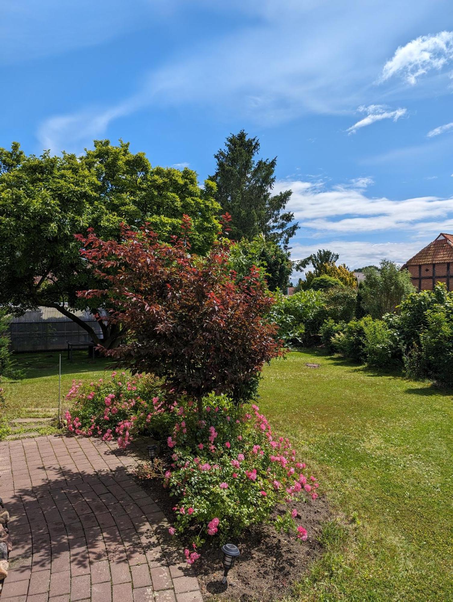 Ferienwohnung Bullersberg Balge Exteriér fotografie