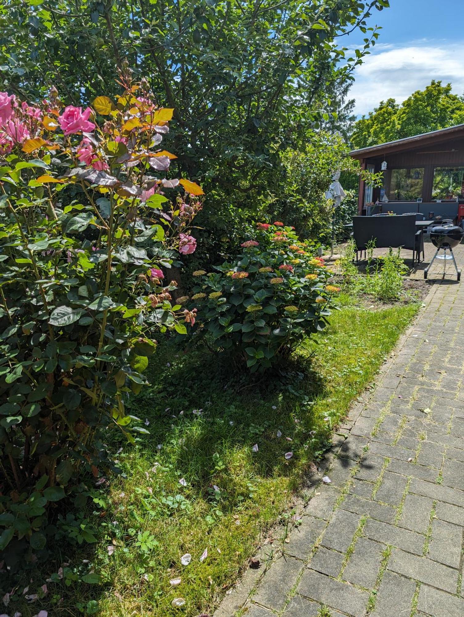 Ferienwohnung Bullersberg Balge Exteriér fotografie