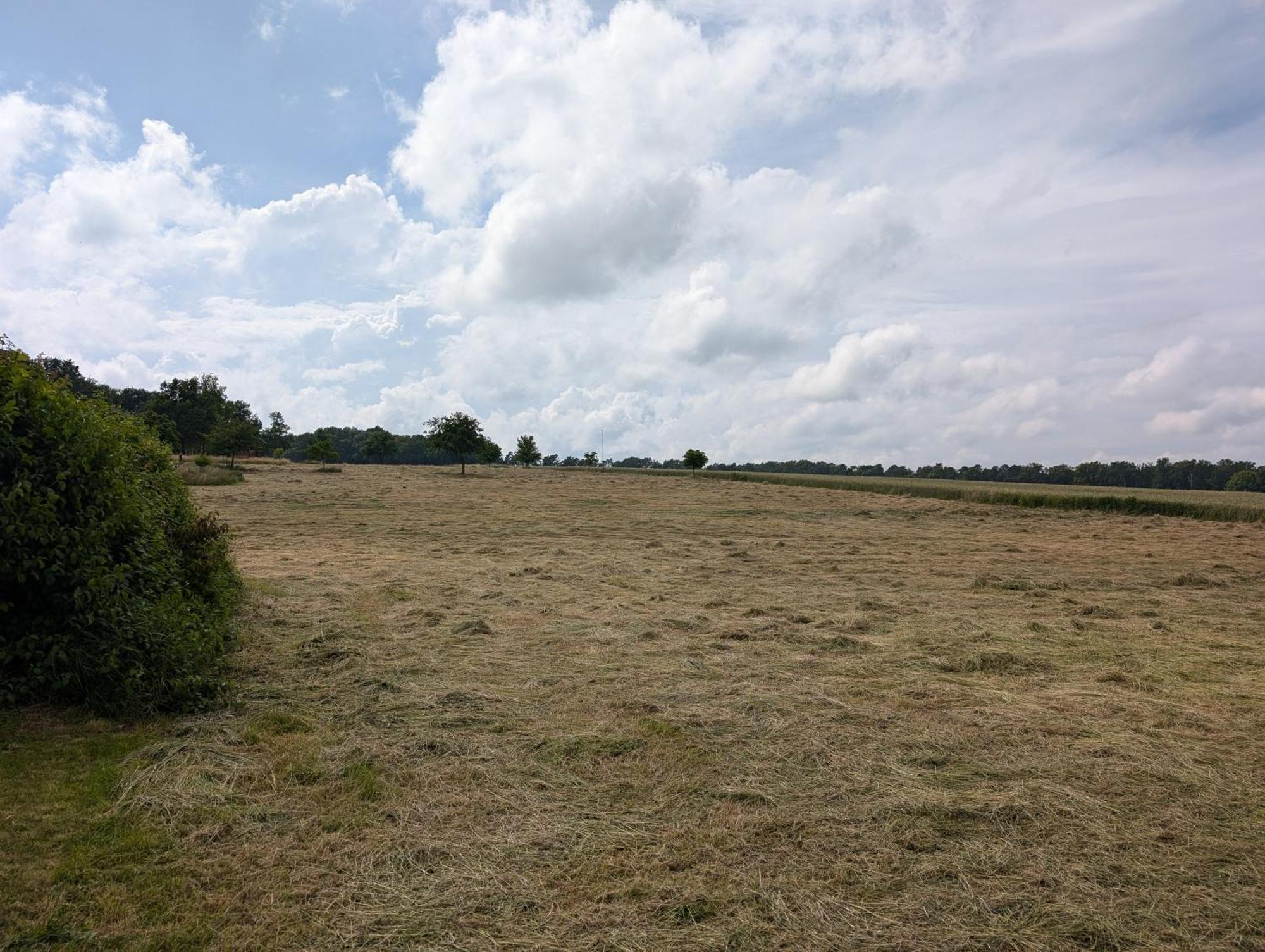 Ferienwohnung Bullersberg Balge Pokoj fotografie